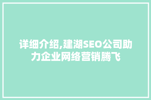 详细介绍,建湖SEO公司助力企业网络营销腾飞