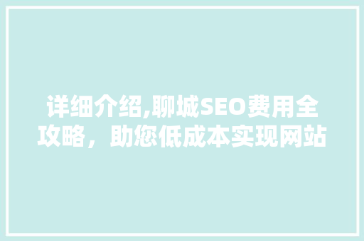 详细介绍,聊城SEO费用全攻略，助您低成本实现网站优化