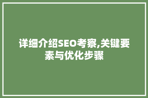 详细介绍SEO考察,关键要素与优化步骤  第1张