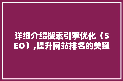 详细介绍搜索引擎优化（SEO）,提升网站排名的关键步骤  第1张