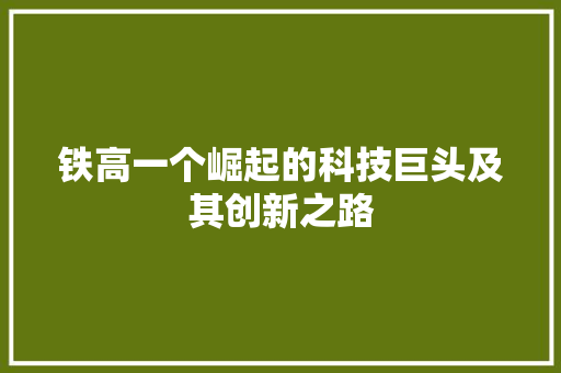 铁高一个崛起的科技巨头及其创新之路