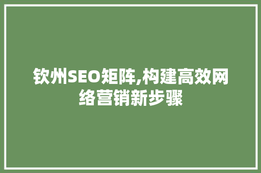 钦州SEO矩阵,构建高效网络营销新步骤  第1张