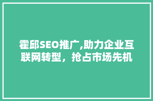 霍邱SEO推广,助力企业互联网转型，抢占市场先机
