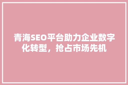 青海SEO平台助力企业数字化转型，抢占市场先机