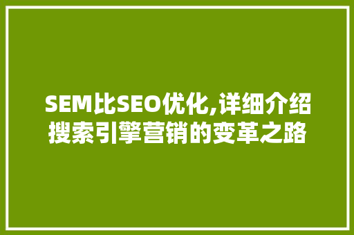 SEM比SEO优化,详细介绍搜索引擎营销的变革之路