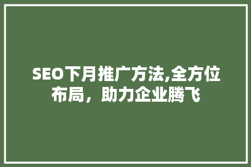SEO下月推广方法,全方位布局，助力企业腾飞