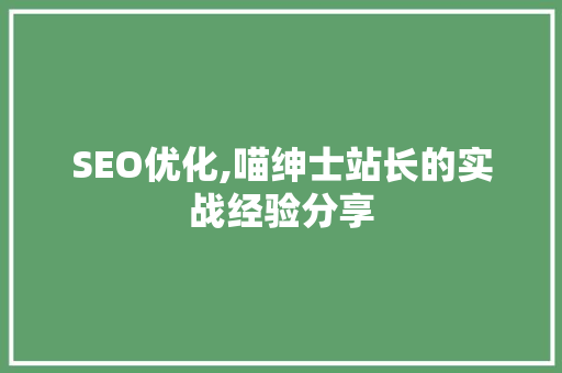 SEO优化,喵绅士站长的实战经验分享