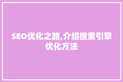 SEO优化之路,介绍搜索引擎优化方法