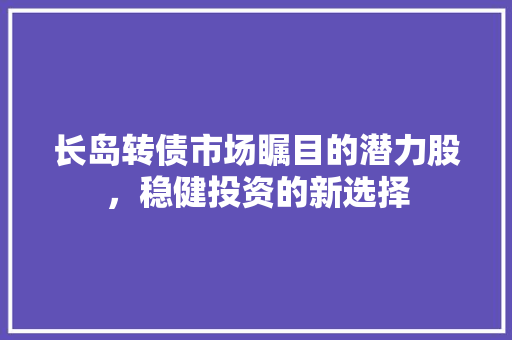长岛转债市场瞩目的潜力股，稳健投资的新选择