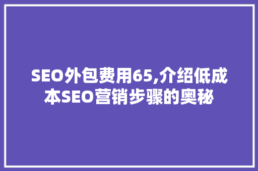 SEO外包费用65,介绍低成本SEO营销步骤的奥秘