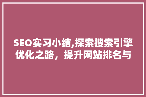 SEO实习小结,探索搜索引擎优化之路，提升网站排名与用户体验  第1张