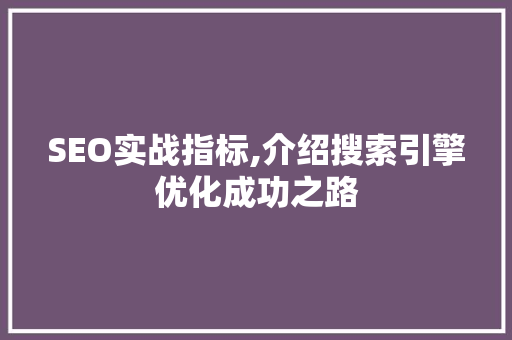 SEO实战指标,介绍搜索引擎优化成功之路