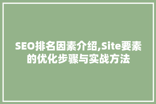 SEO排名因素介绍,Site要素的优化步骤与实战方法  第1张