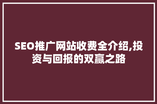 SEO推广网站收费全介绍,投资与回报的双赢之路