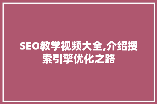 SEO教学视频大全,介绍搜索引擎优化之路
