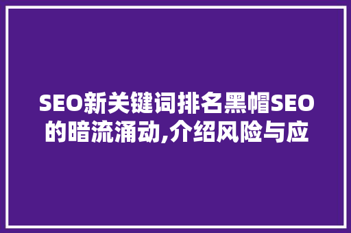 SEO新关键词排名黑帽SEO的暗流涌动,介绍风险与应对步骤