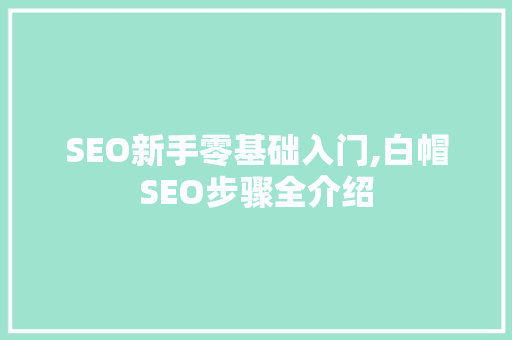 SEO新手零基础入门,白帽SEO步骤全介绍