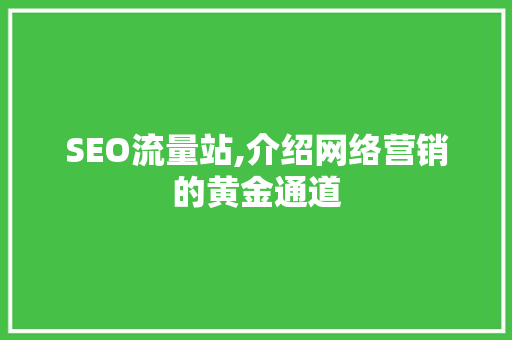 SEO流量站,介绍网络营销的黄金通道