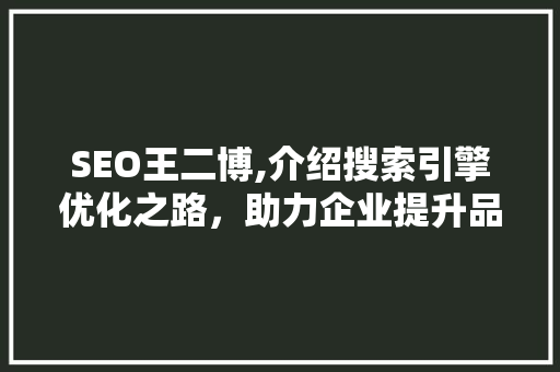 SEO王二博,介绍搜索引擎优化之路，助力企业提升品牌影响力