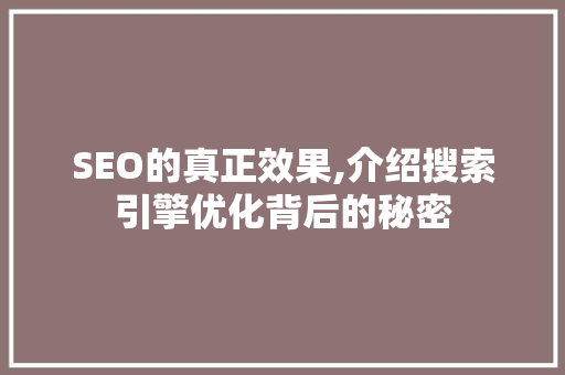 SEO的真正效果,介绍搜索引擎优化背后的秘密