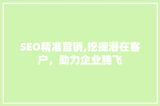 SEO精准营销,挖掘潜在客户，助力企业腾飞