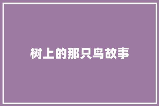 详细介绍相识域名SEO,优化步骤与实战方法