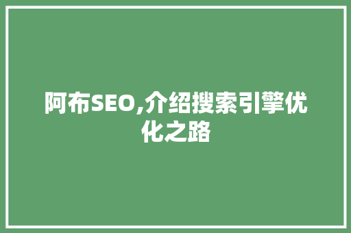 阿布SEO,介绍搜索引擎优化之路
