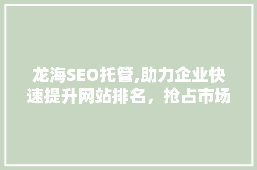 龙海SEO托管,助力企业快速提升网站排名，抢占市场先机