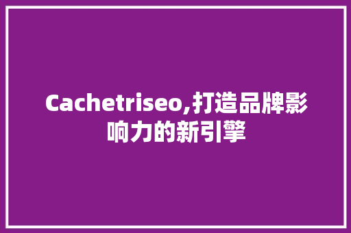 Cachetriseo,打造品牌影响力的新引擎