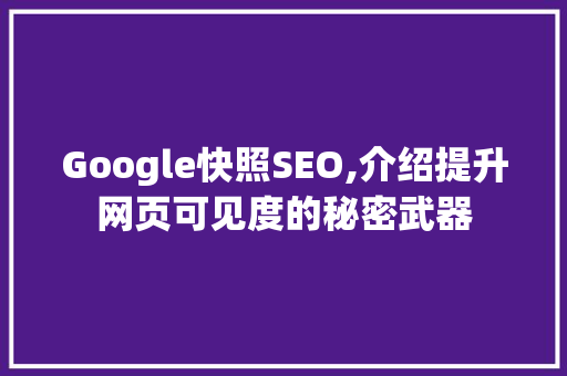 Google快照SEO,介绍提升网页可见度的秘密武器