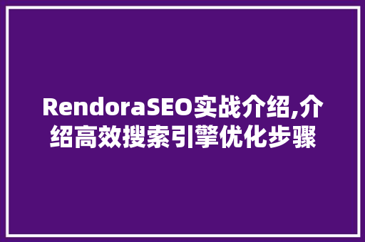 RendoraSEO实战介绍,介绍高效搜索引擎优化步骤