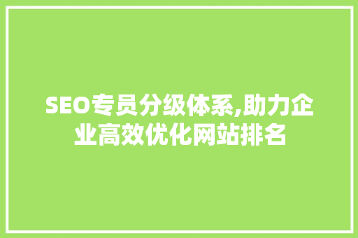 SEO专员分级体系,助力企业高效优化网站排名