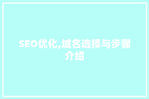 SEO优化,域名选择与步骤介绍