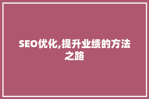SEO优化,提升业绩的方法之路