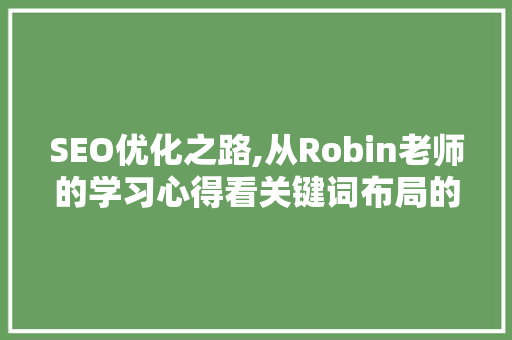 SEO优化之路,从Robin老师的学习心得看关键词布局的艺术