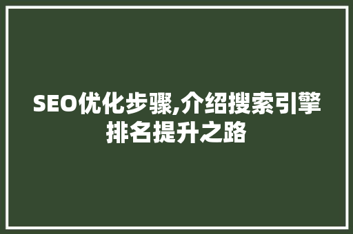 SEO优化步骤,介绍搜索引擎排名提升之路