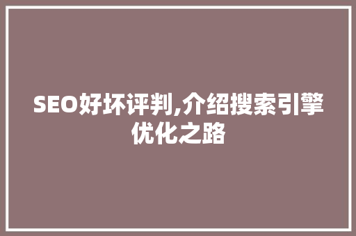 SEO好坏评判,介绍搜索引擎优化之路  第1张