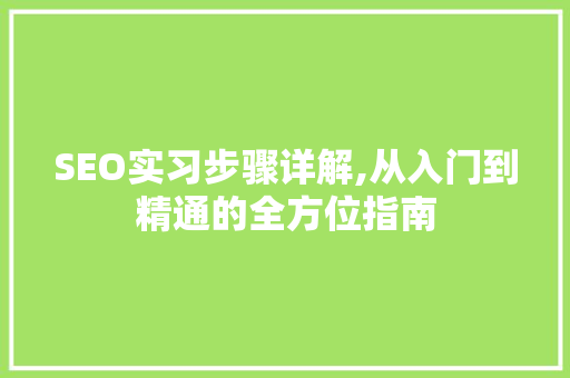 SEO实习步骤详解,从入门到精通的全方位指南