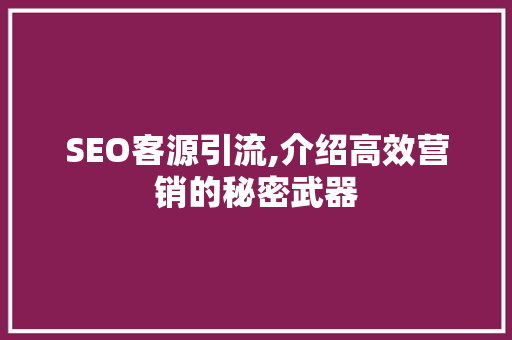 SEO客源引流,介绍高效营销的秘密武器