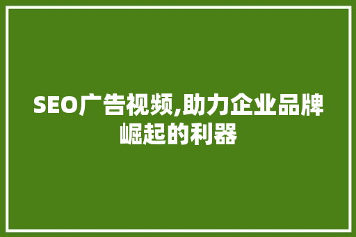 SEO广告视频,助力企业品牌崛起的利器