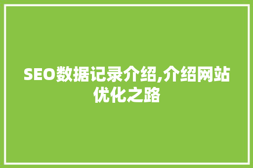 SEO数据记录介绍,介绍网站优化之路