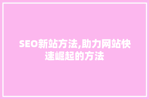 SEO新站方法,助力网站快速崛起的方法