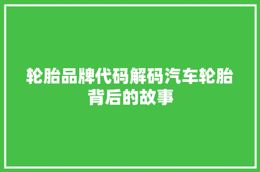轮胎品牌代码解码汽车轮胎背后的故事