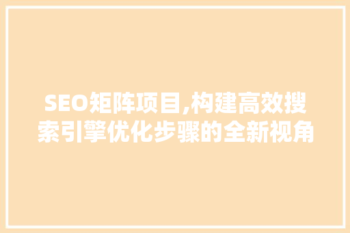 SEO矩阵项目,构建高效搜索引擎优化步骤的全新视角