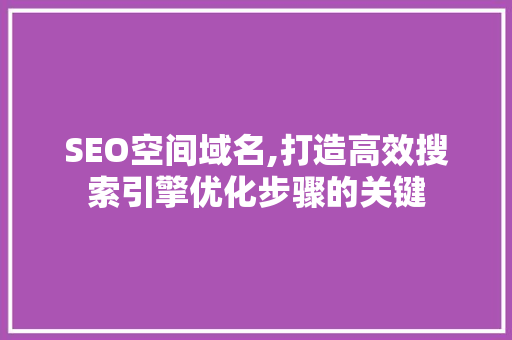SEO空间域名,打造高效搜索引擎优化步骤的关键