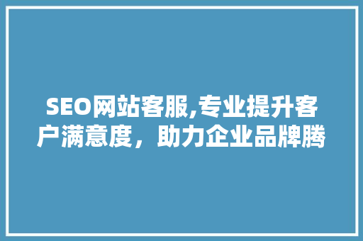 SEO网站客服,专业提升客户满意度，助力企业品牌腾飞
