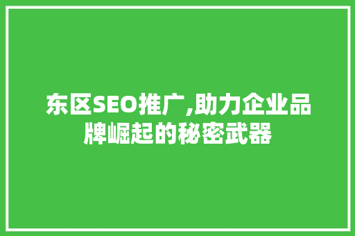 东区SEO推广,助力企业品牌崛起的秘密武器