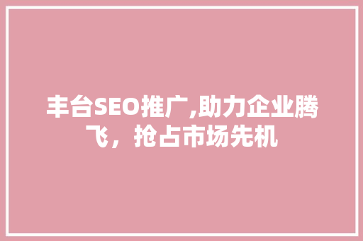 丰台SEO推广,助力企业腾飞，抢占市场先机