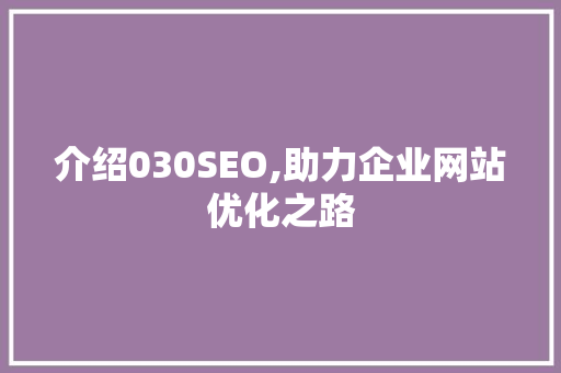 介绍030SEO,助力企业网站优化之路