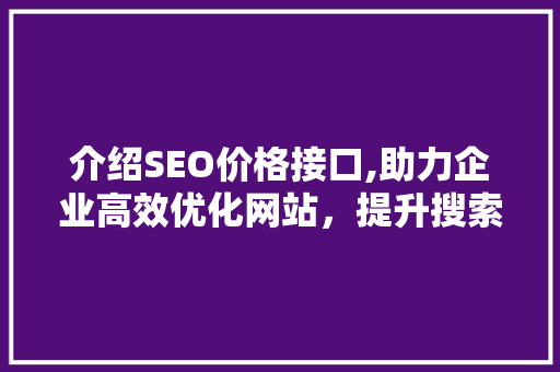 介绍SEO价格接口,助力企业高效优化网站，提升搜索引擎排名  第1张